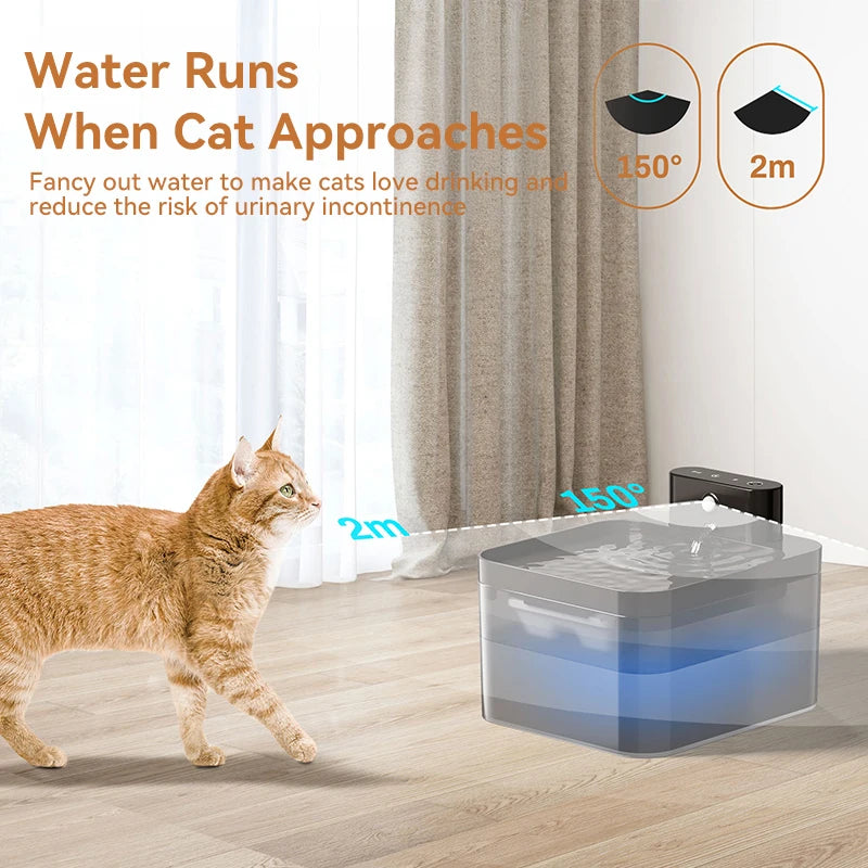 Automatic Water Fountain