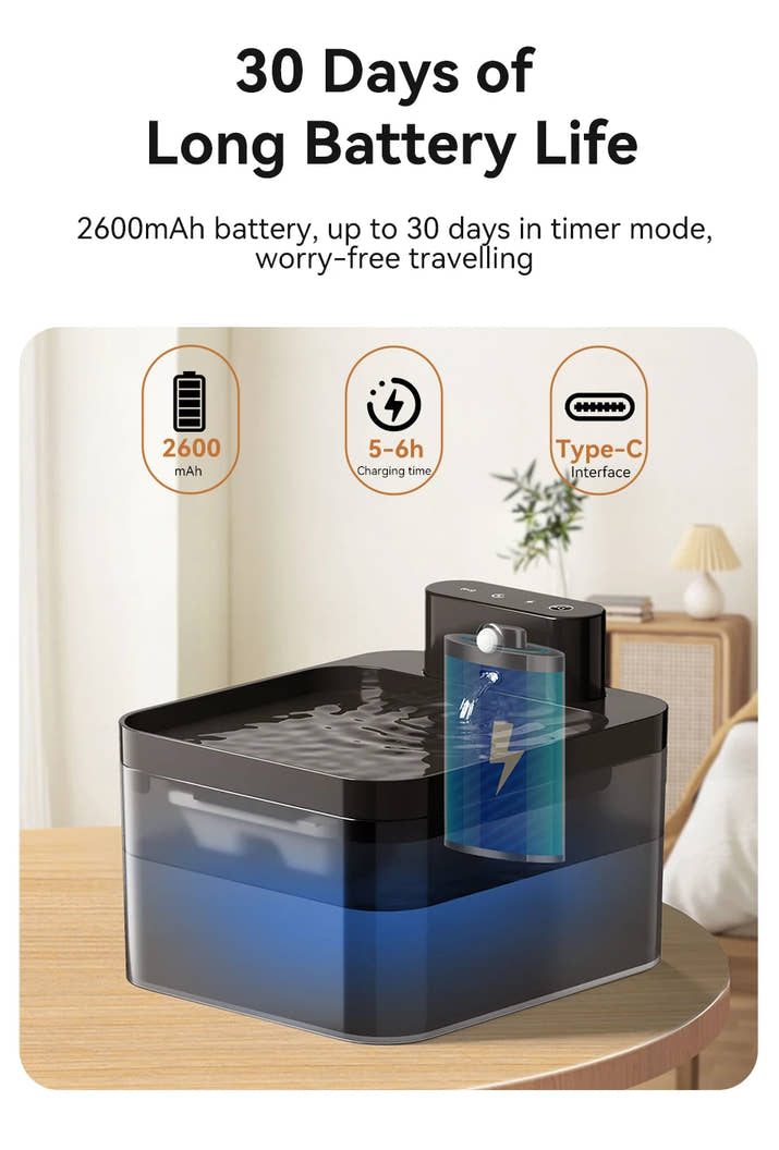 Automatic Water Fountain